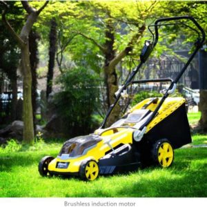 Cordless Electric Lawn Mower With Lithium Battery And Charger